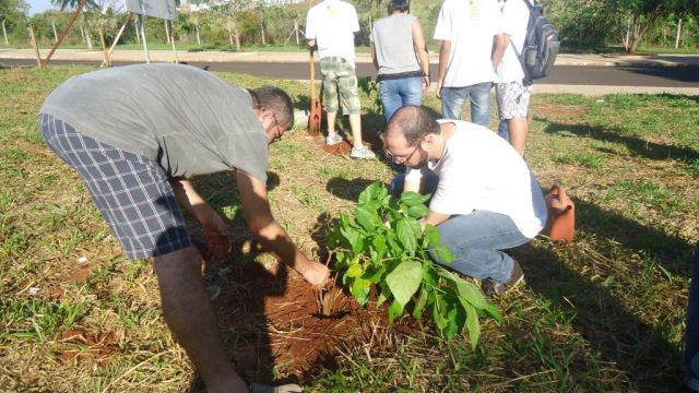 Quinta-Feira 07/04